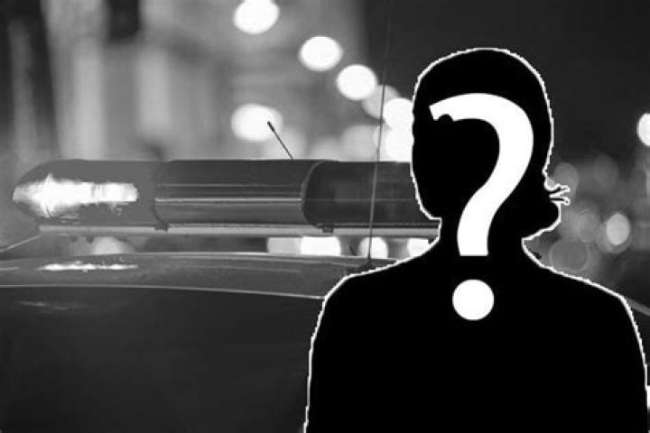 
53-year-old Woman, Michelle Gallien, dies in a Fatal Car Accident 