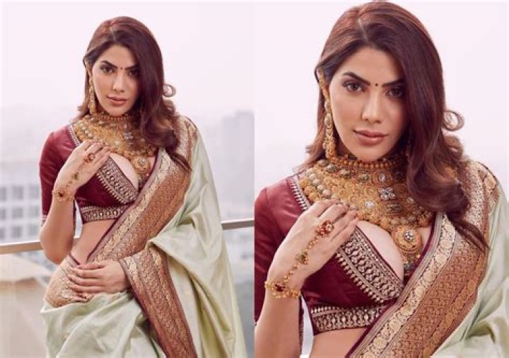 
Bigg Boss 14 fame Nikki Tamboli and Chahatt Khanna in ED’s list for receiving gifts from conman Sukesh Chandrasekhar 