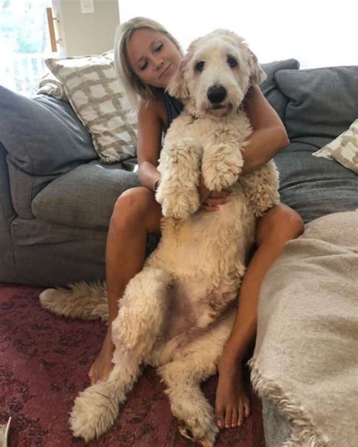 Bo Siemian Height, Weight, Net Worth, Age, Birthday, Wikipedia, Who, Nationality, Biography