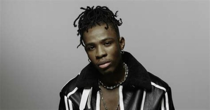 
Check out Afrobeats Superstar Joeboy’s Stunning Picture Online 