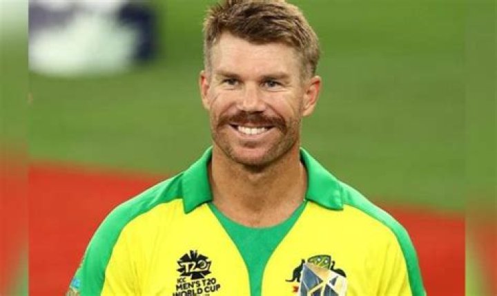 
David Warner Height, Weight, Net Worth, Age, Birthday, Wikipedia, Who, Nationality, Biography 