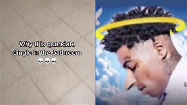 
Donquavious Higglebottom TikTok, Quandale Dingle Meme On Twitter 