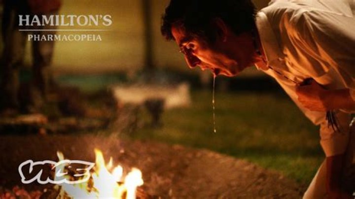 
Hamilton Morris’ Relationship Status : Hamilton Pharmacopeia’s controversy 