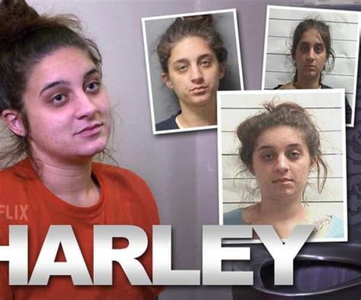 
Harley Himber Height, Weight, Net Worth, Age, Birthday, Wikipedia, Who, Nationality, Biography 