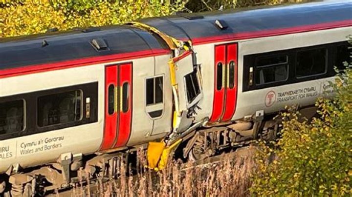 
Harold Riley GoFundMe: Family launches fundraiser as 50-year-old Virginia grandfather dies in metro train accident 