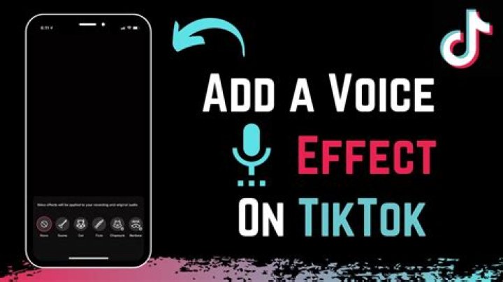 
How To Do The Echo Voice Effect On TikTok From Camera Roll? Where Is This Effect? 