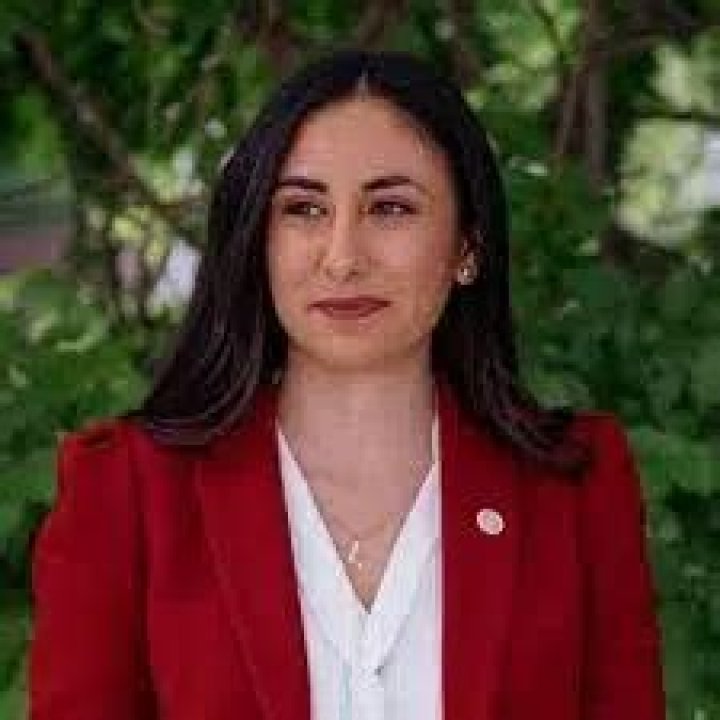 
Mari Manoogian Height, Weight, Net Worth, Age, Birthday, Wikipedia, Who, Nationality, Biography 