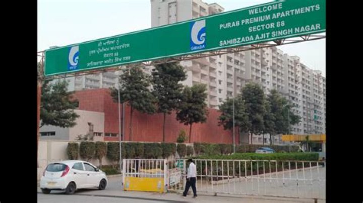 
NGT directs Bengaluru Civic bodies to look into green violations by builder 