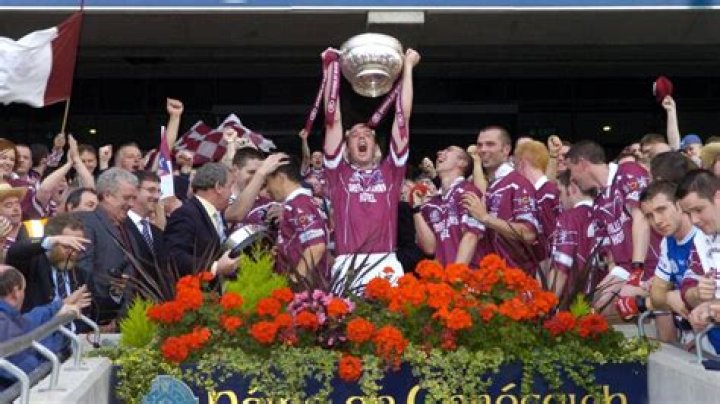 Rory O Connell Height, Weight, Net Worth, Age, Birthday, Wikipedia, Who, Nationality, Biography