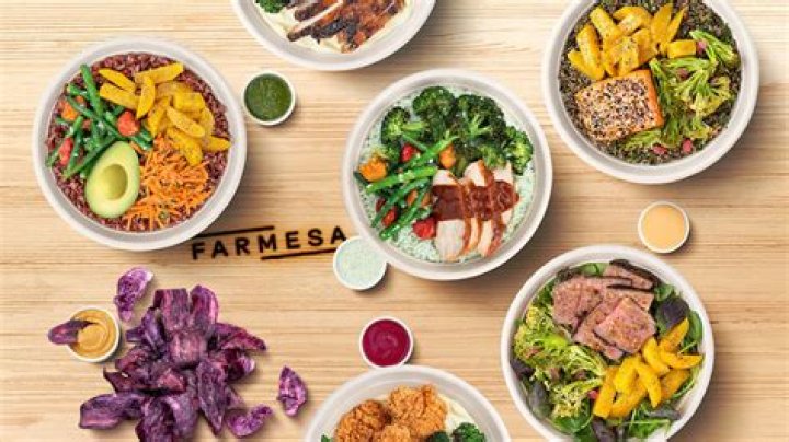 
What is Farmesa Fresh Eatery? Menu, price, and all about the Chipotle spin-off restaurant 