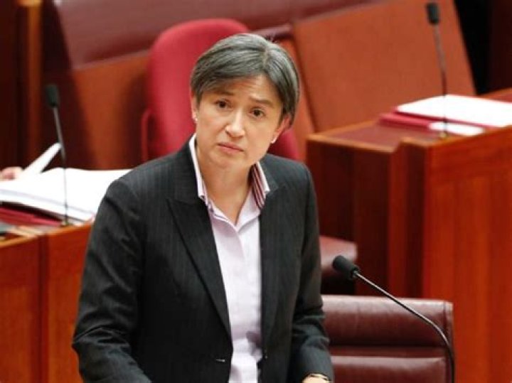 
Who Are Francis Wong And Jane Chapman? Details On Penny Wong Parents And Family Tree 