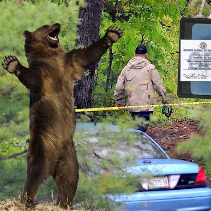 Why Is Quinn Cook So Rich With A Net Worth Of $500 Million? What Happened After The Cocaine Controversy?